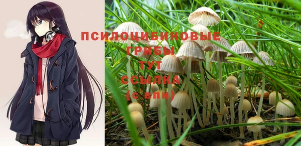 альфа пвп Армянск