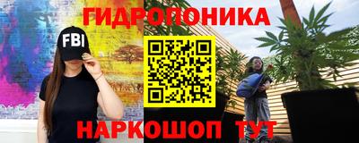 стафф Пыть-Ях