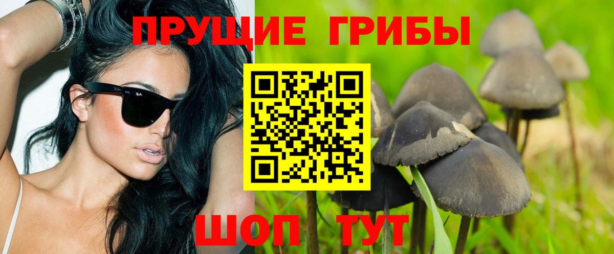 Галлюциногенные грибы Magic Shrooms  Вход с VPN  Пенза  Псилоцибиновые грибы MAGIC MUSHROOMS 